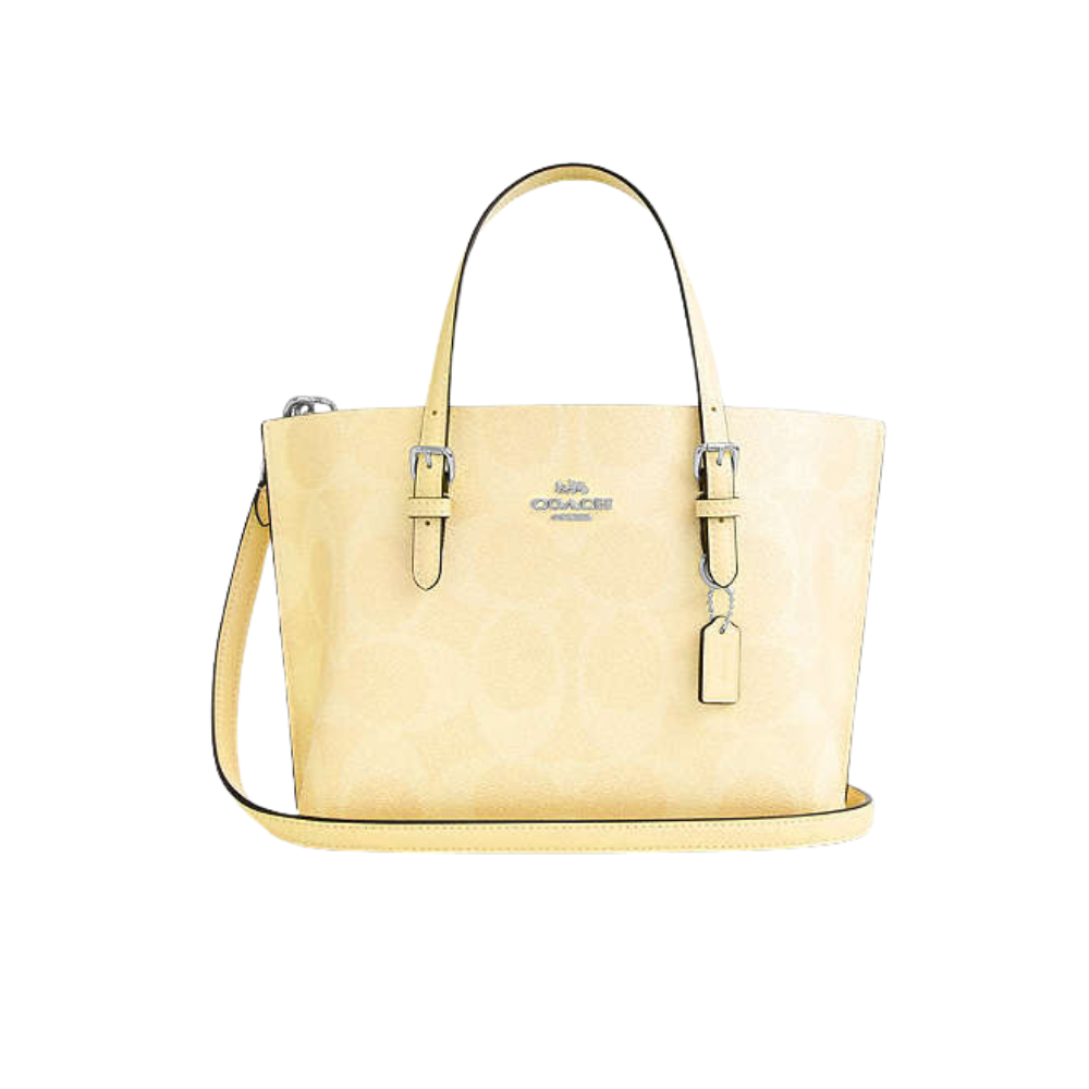 Coach Mollie Tote Bag 25